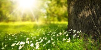 Od czego robią się białe usta? Od czego robią się białe usta?