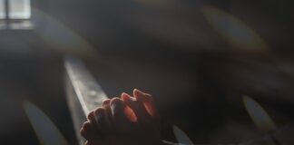 Czy rad świeci? Czy rad świeci?