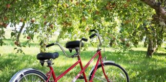 Co to znaczy tandem po polsku? Co to znaczy tandem po polsku?