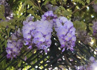 Jaki jest dobry utrwalacz do makijażu?