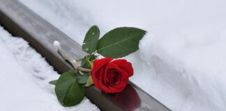 Co było pierwsze imię czy nazwisko?