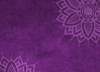 Jaki mandat za brak karty wędkarskiej 2023?