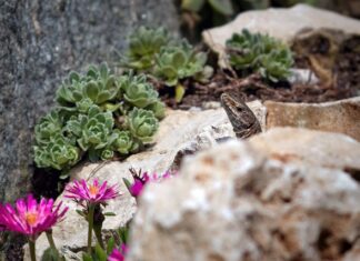Co zrobić żeby nie mieć tłustej cery?