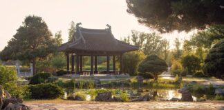 Ile punktów ma Iga?