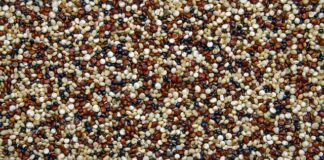 Czy dermatolog usuwa modzele?