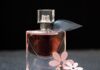 Czym różni się perfum od wody toaletowej?