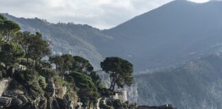 Ile kosztuje jedna żyletka?