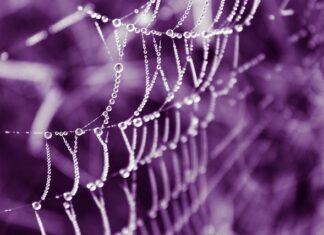 Gdzie kupić oryginalne wkłady Gillette?