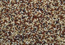 Czy modzele odrastają?