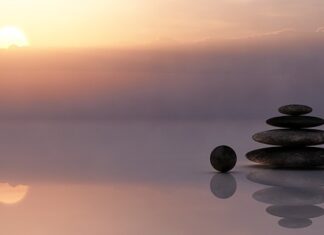 Czy Sunone to dobra firma?