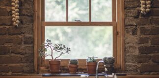 Jak stosować czosnek na odciski?