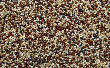 Czy modzele są niebezpieczne?