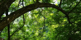 Czy zbieranie nakrętek ma sens? Czy zbieranie nakrętek ma sens?