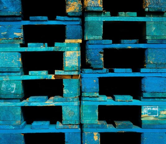 przenośniki paletowe